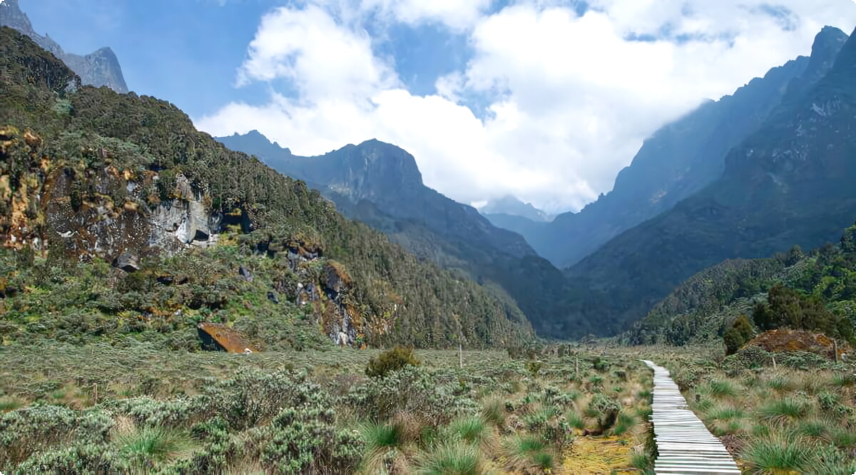 Nossos serviços de aluguel de carros oferecem uma seleção diversificada de veículos em Kasese.